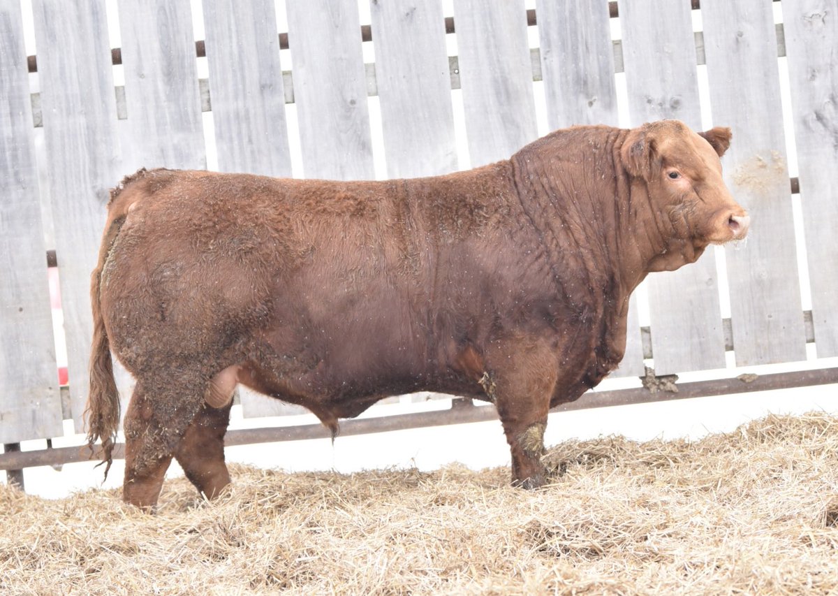 Justin Burgess tweet media