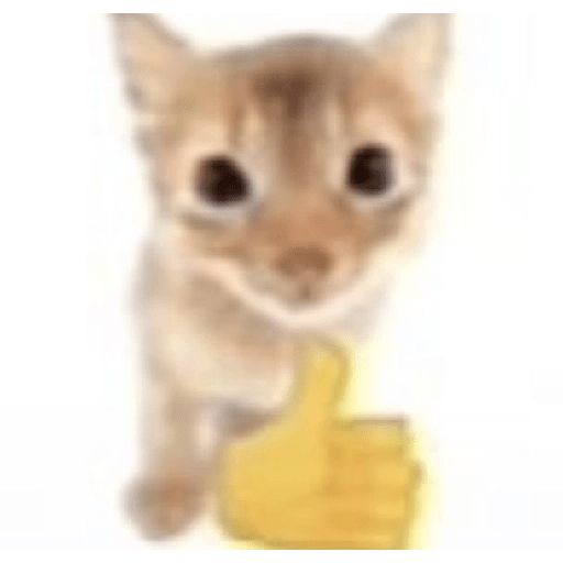 vitinhoostudy's tweet photo. como realmente FOCAR nos estudos e não se DISTRAIR; uma thread explicativa para #studytwtbr | #studytwt https://t.co/pEj4J87I2q