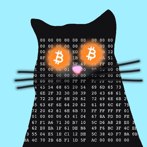 Udi Wertheimer tweet media