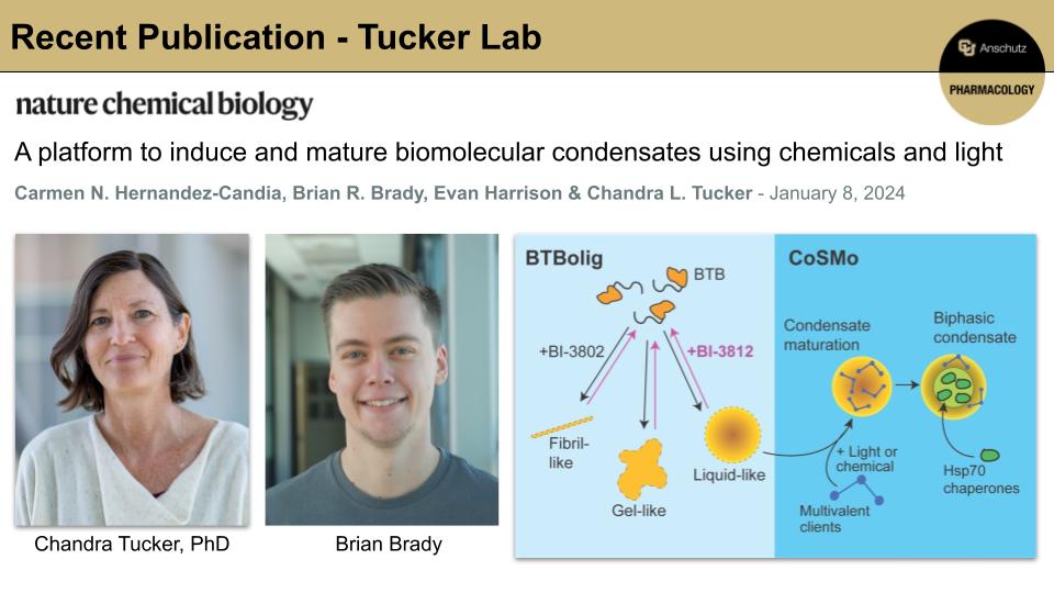 Join us in congratulating Chandra Tucker, PhD and Brian Brady on their recent publication in <a href="/Nature/">nature</a>! Read more about their findings here: nature.com/articles/s4158…
