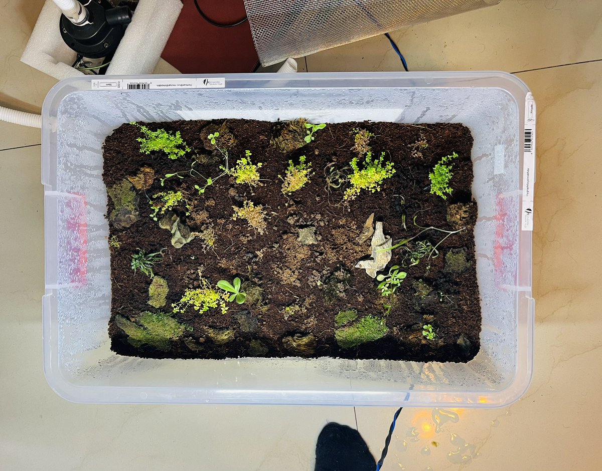 paarugsethi's tweet photo. Was lucky to visit @itsarnavb’s lab, The Lagrange Point today.

Inspiring to see the space him, @thel3l and the crew have built - experiments on how to solve liquid waste, software to read better, and so much more.

🇮🇳/acc at its peak.

[4th picture was a banana &amp; eggs once] https://t.co/lA3dwGOimc