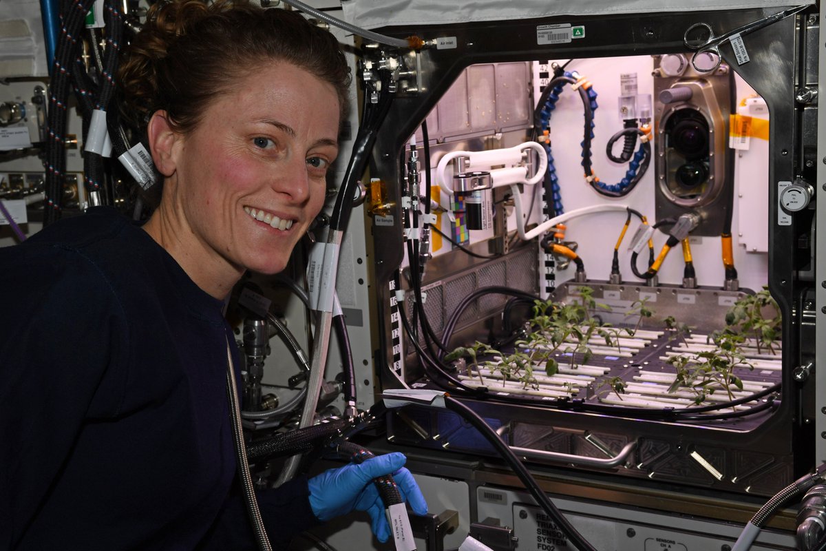 Last week I saw plants for the first time in 4 months. I might have gotten a little teary. We get fresh fruit and veggies via our cargo vehicles and they provide welcome pops of color and scent, but it turns out this does not compare at all to seeing living plants and smelling