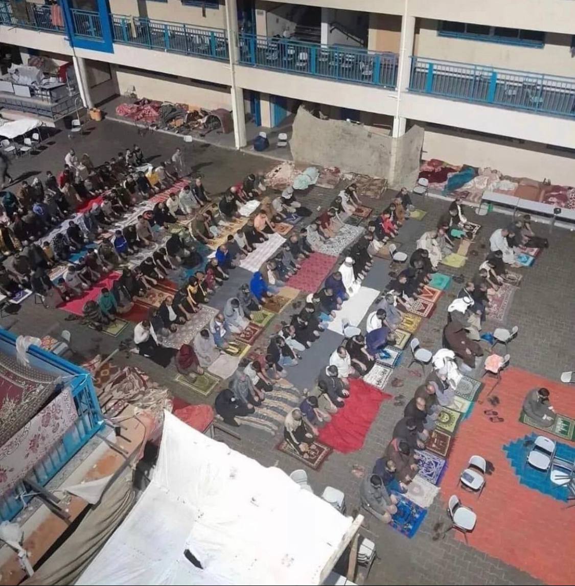 هؤلاء قومٌ خسروا كل شيء إلا دينهم، فربحوا كُل شيء🇵🇸♥️