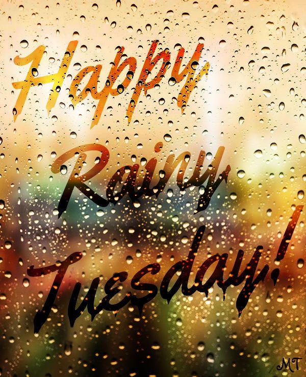 CNBofTexas's tweet photo. Embrace the cozy vibes on this Rainy Tuesday. How do you like to spend your rainy days? #rainydays #CozyTuesday https://t.co/k99ezmW18f