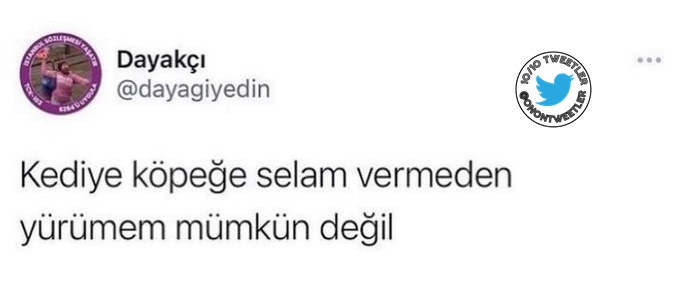 10/10 Tweetler (@onontweetler) on Twitter photo 