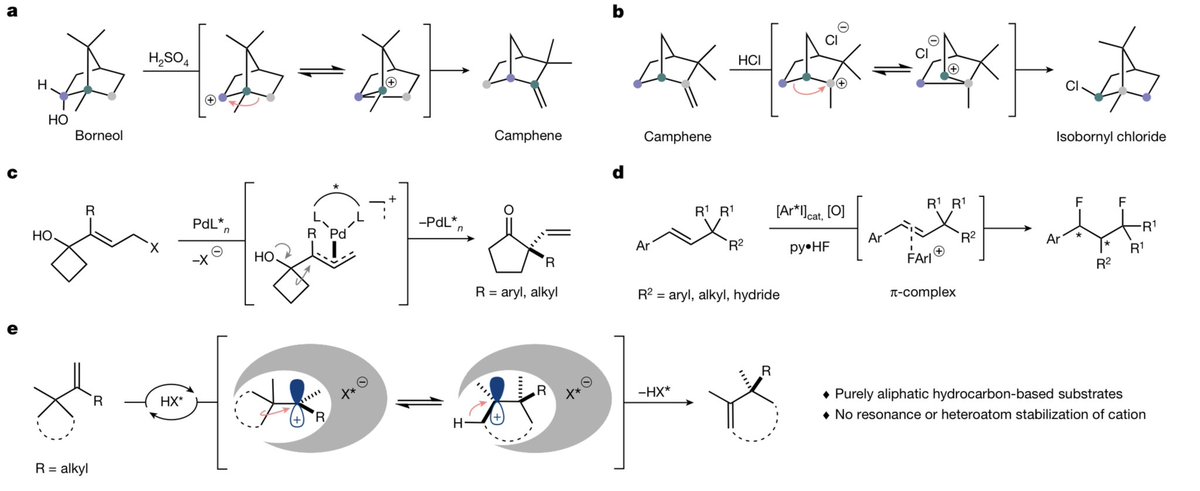 POW: List and Tantillo report cat. asymm. Wagner-Meerwein shifts. Alkene protonation by a chiral acid cat. gives carbocation and enantiodetermining ring expansion. The enzyme-like pocket of the catalyst gives high enantio and chemoselectivity in the unfunctionalized systems.
