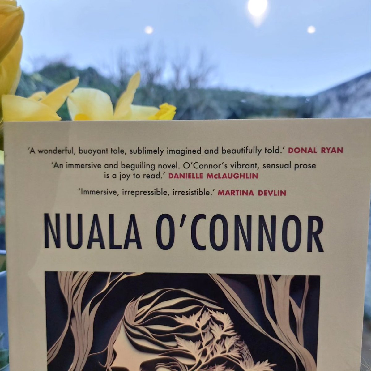 Nuala O'Connor on X: My ARCs - advance review copies - of #Seaborne  arrived today from @newislandbooks. So exciting! Reviewers: contact Des  Doyle at New Island to get an ARC. Thanks to