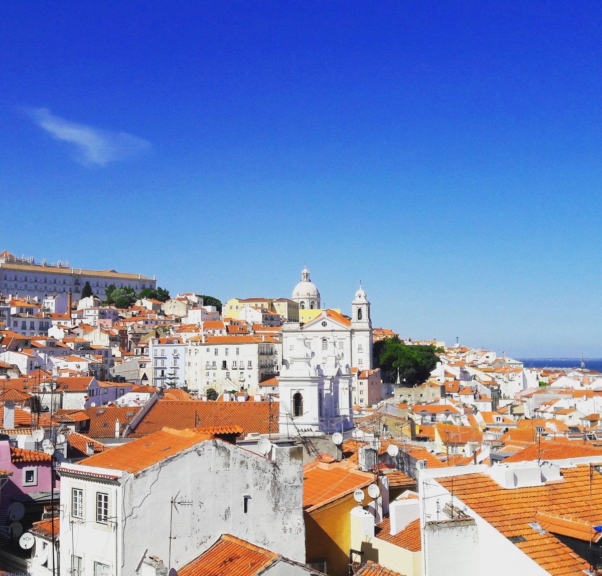 patriciamadeira's tweet photo. Explore the alleyways of #Alfama, then go on an epic voyage through #Lisbon’s #AgeofDiscovery and finish your journey roaming the modern side of Lisbon in the #ParkofNations.
#BestofLisbon #Portugal #Audioguides #AudioTour #LisbonwithPats #VoiceMap
https://t.co/TYGwXqFZ6Z https://t.co/4MJZB3EDpT