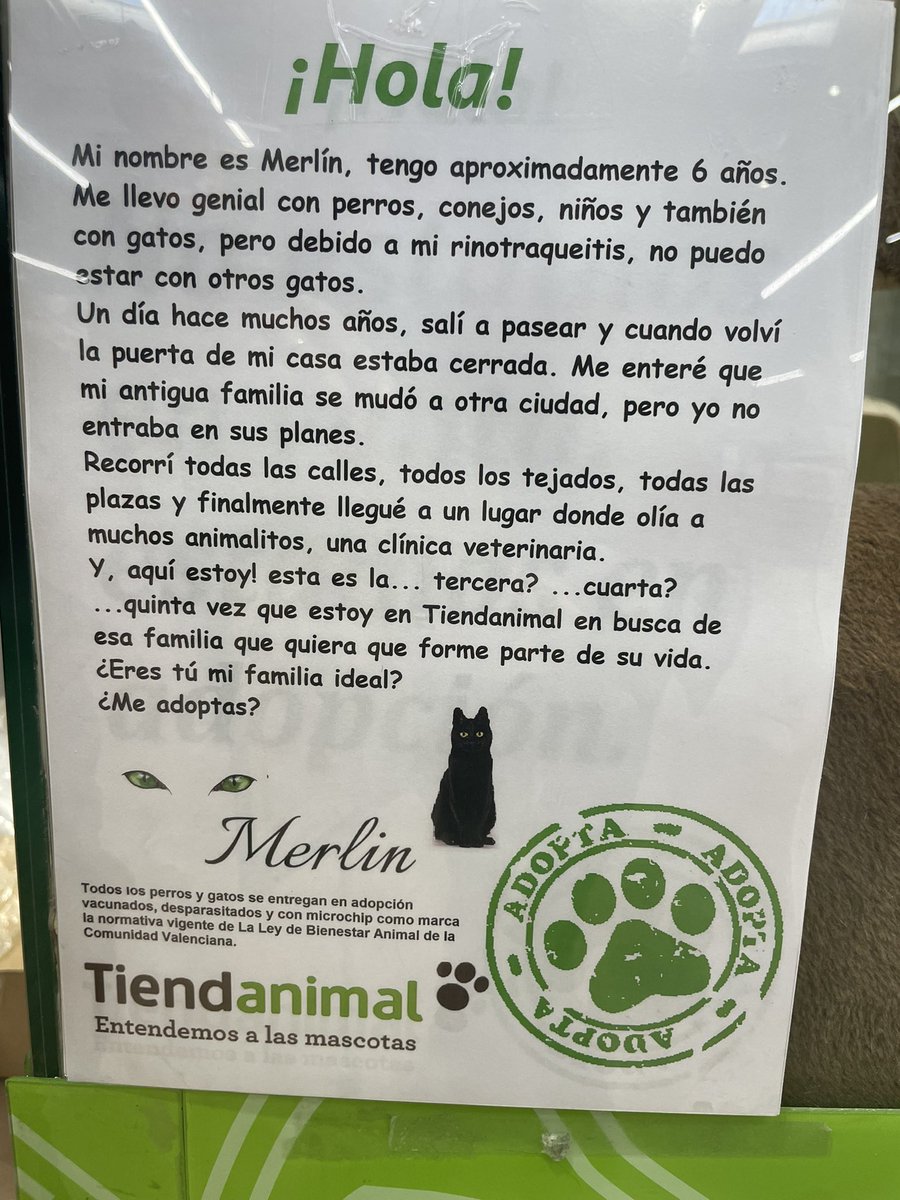 Así hablan de nuestro Merlín en <a href="/tiendanimal/">Tiendanimal</a> #Elche 😻