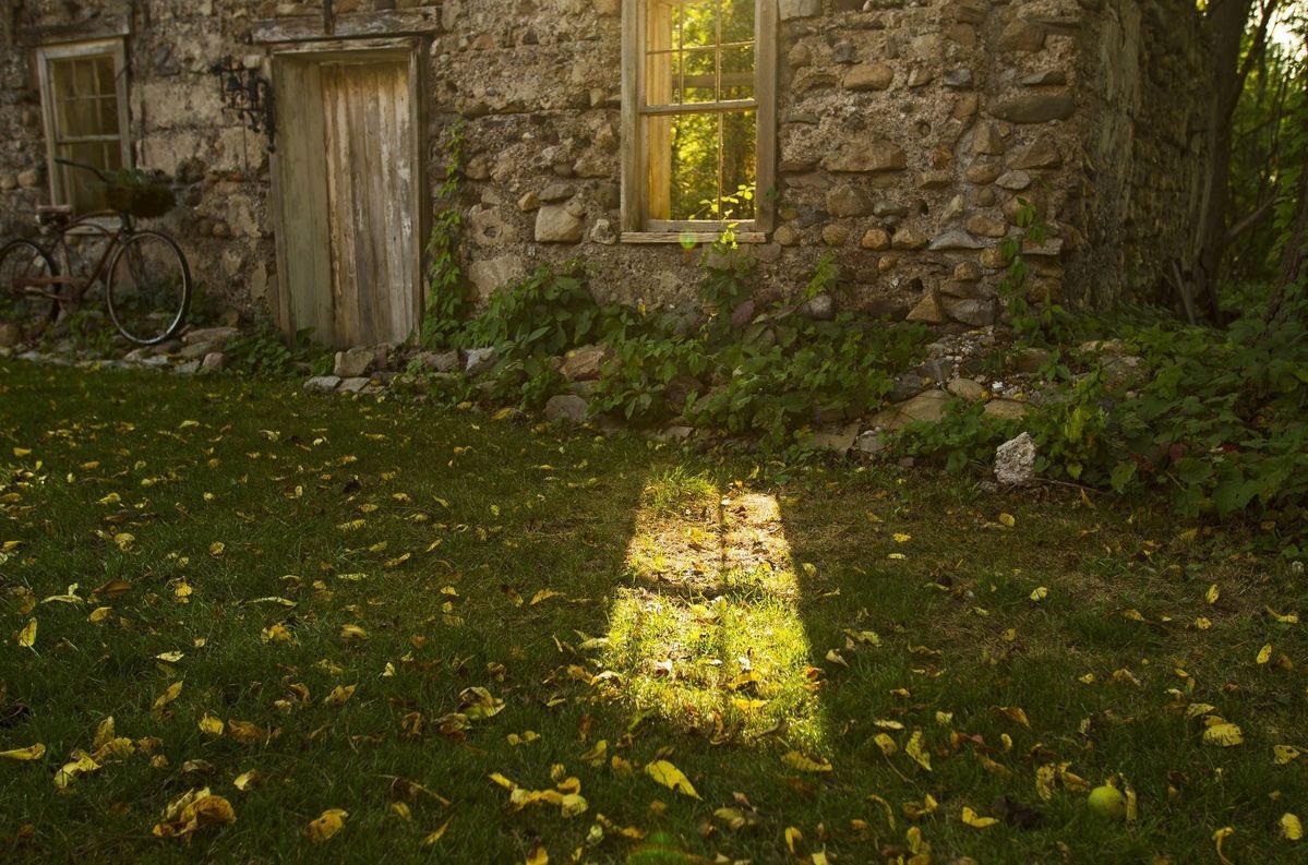 greendreamvibes's tweet photo. 🌱 https://t.co/vfQTJz7oTz