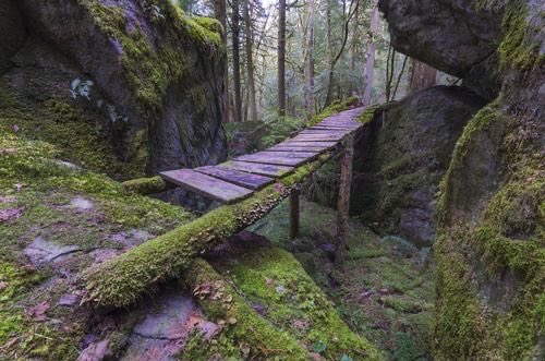 greendreamvibes's tweet photo. 🌱 https://t.co/vfQTJz7oTz