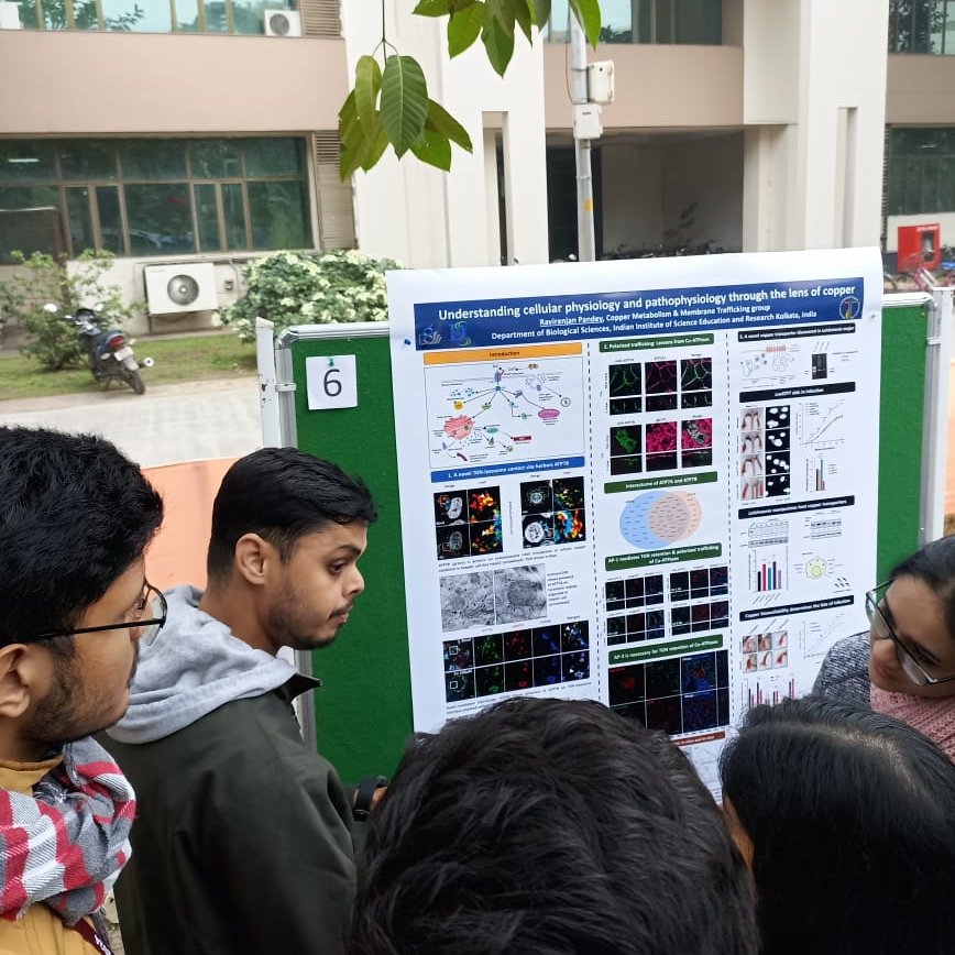 Ravi <a href="/Raviranjan89788/">Raviranjan Pandey</a> represented our lab on the Departmental Day last week. The poster gave an essence of what we do in our lab.
#CopperMetabolism #MembraneTrafficking #Microscopy <a href="/iiserkol/">IISER Kolkata</a>