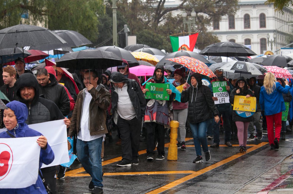 DioceseOfFresno's tweet photo. Bishop Brennan, Bishop Emeritus Ochoa and the Diocese of Fresno celebrated the beauty and dignity of life during One Life LA this past weekend! Here’s a look into the day 📸 #OneLifeLA https://t.co/eVhC3eWGOv