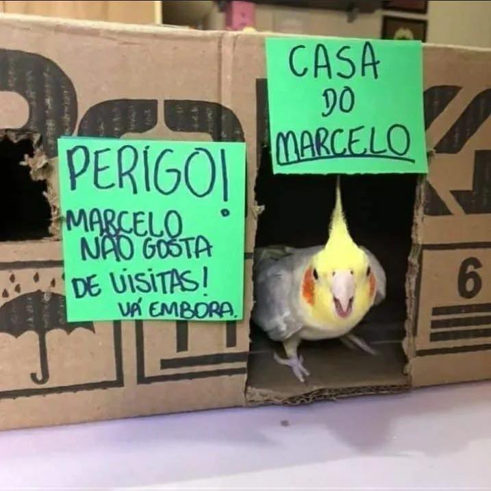 PuroSucoDoBr's tweet photo. https://t.co/rFdMlvkWuZ
