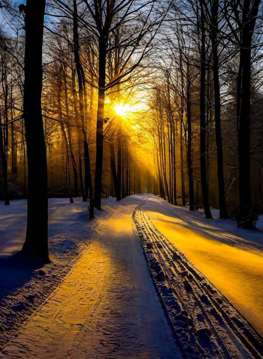 ili_naturelover's tweet image. Peaceful evening ✨