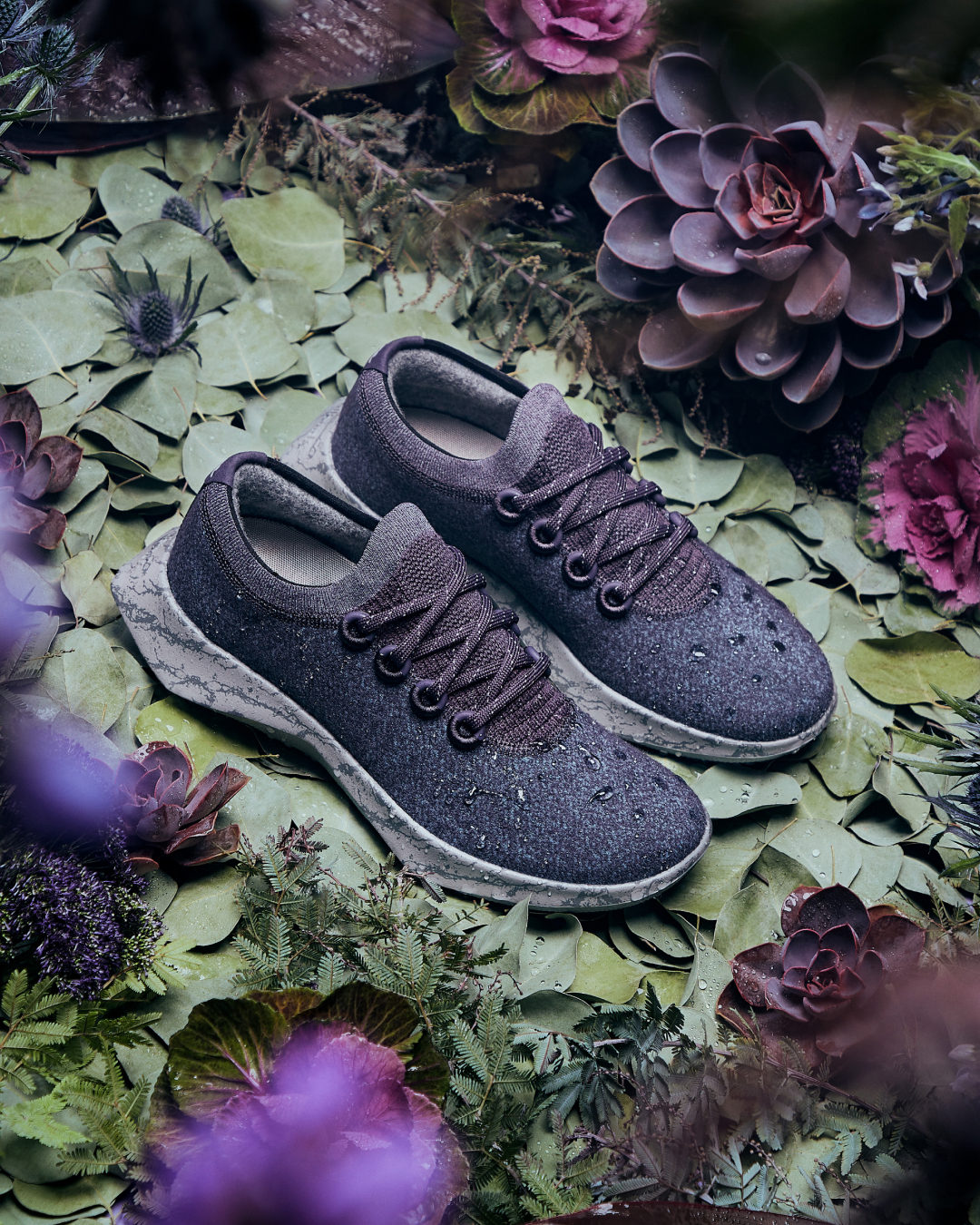 Lavender allbirds best sale