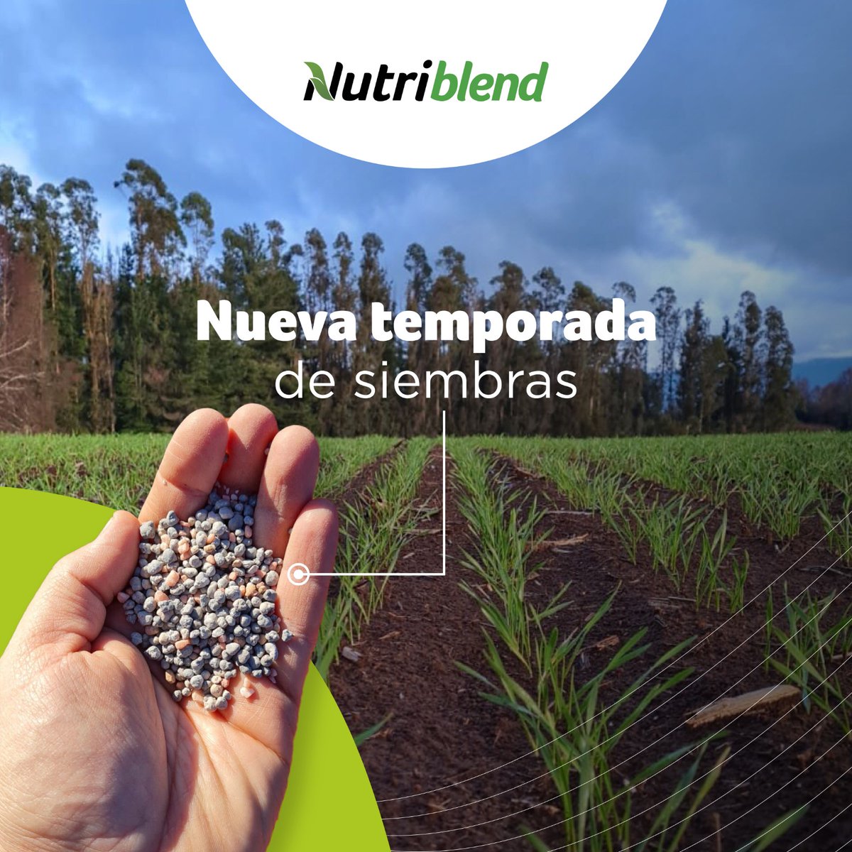 ➡️ ¡Solicita con anticipación tus fertilizantes de siembra! 
🔜Pronto, comienza una nueva temporada y nuestros consultores técnicos te brindarán el mejor asesoramiento para que consigas 📈 resultados exitosos.
📱¡Consultanos!
.
#NutrienCL #Siembra #ResultadosExitosos