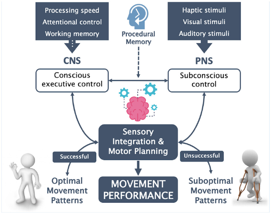 A recent study published by <a href="/Sports_Health/">Sports Health: A Multidisciplinary Approach</a> reveals that athletes with lower cognitive function might be at a higher risk of ACL injuries during challenging movements. <a href="/fil_berto/">Filippo Bertozzi</a> <a href="/P_Fisch17/">Patrick Fischer</a> <a href="/matteozago_/">Matteo Zago</a> <a href="/BiomechScott/">Scott Monfort</a>

Check it out here: ow.ly/OEJ750Qtlpa #SportsMedicine