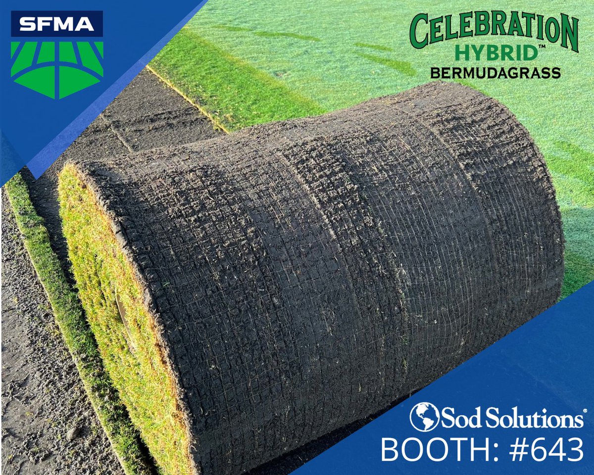 Celebration Hybrid™ Bermudagrass has been trialed at golf course sites across the Southeast. This next-gen variety takes the best of world-famous Celebration and makes it better! Come see #CelebrationHybridBermuda on display at SFMA booth #643. #SFMA2024