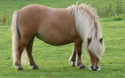 landosdefender's tweet photo. they both do be looking down…can only mean one thing #teampony https://t.co/gf8y0dmNU3