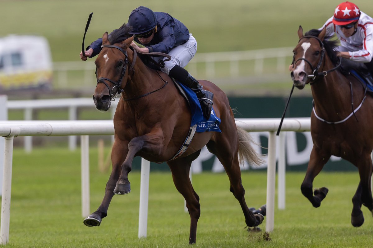 It’s official! 

Europe’s top 5️⃣ 2-year-olds of 2023 all won at the Curragh. 🏆✨

1. City of Troy
2. Bucanero Fuerte
3.Henry Longfellow
4.Opera Singer
5.Fallen Angel 

👉🏻 shorturl.at/oJQ04
