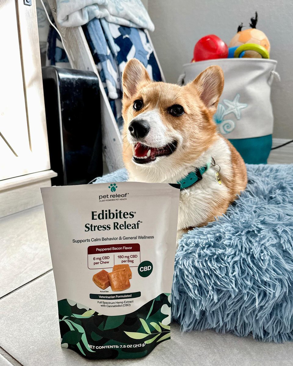 pet releaf tweet media