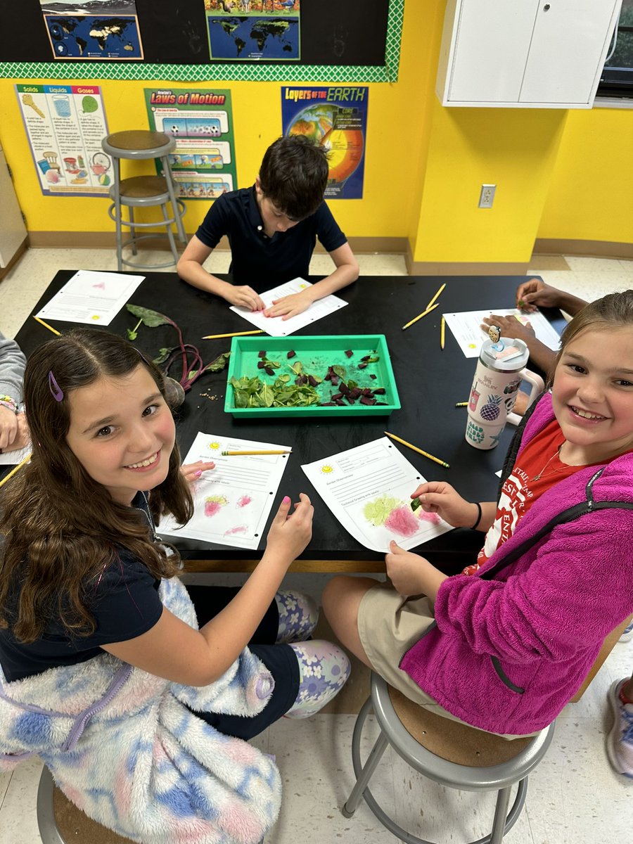 readygrowgarden's tweet photo. Happy ☔️ Garden Day from Mrs. Toal’s awesome science lab! Today students are investigating Edible flower, strawberries 🍓, and coloring with beet juice &amp; spinach! ♥️💚 #readytogrowgardens #GardenDay #Science @HoustonISD @OakForestES https://t.co/q8zOUmgssr