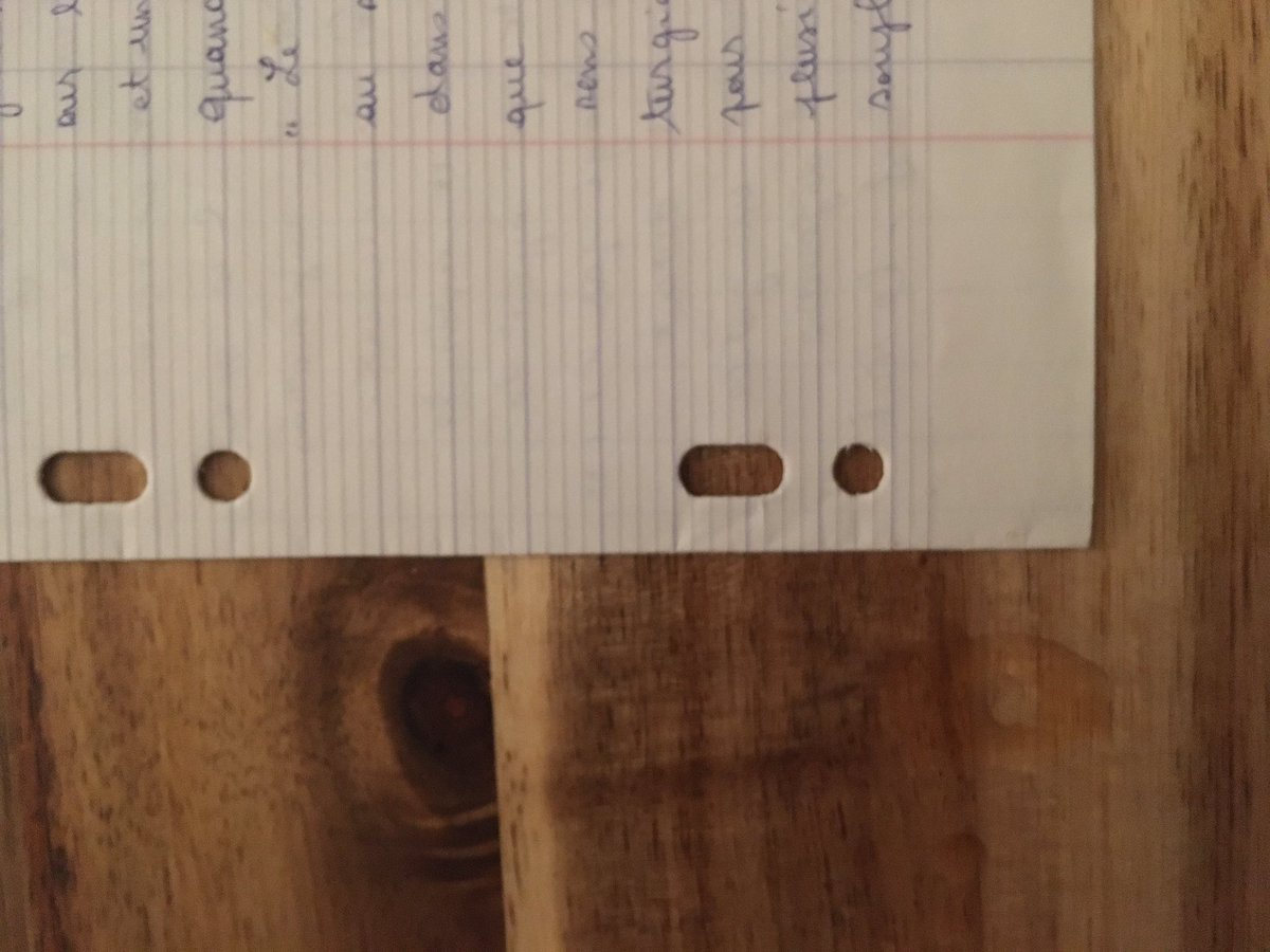 Semi-échec : on s’est occupé de deux copies, on a renversé du thé, après on a paniqué en revenant toujours aux poèmes de l’aube comme au temps de la préparation des cours, c’est à se demander pourquoi on s’obstine à entrer dans un moule qui en quatre ans n’a marché qu’au forceps.