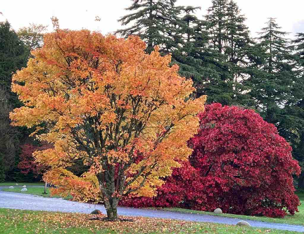 May you have wisdom to know seasons change. Each one contains beauty and possibility. May you know when it is time to end one chapter and start another. May you embrace hues of hope heralded by a new dawn. To accept what’s next,  does not require destroying what is. #niteblessing