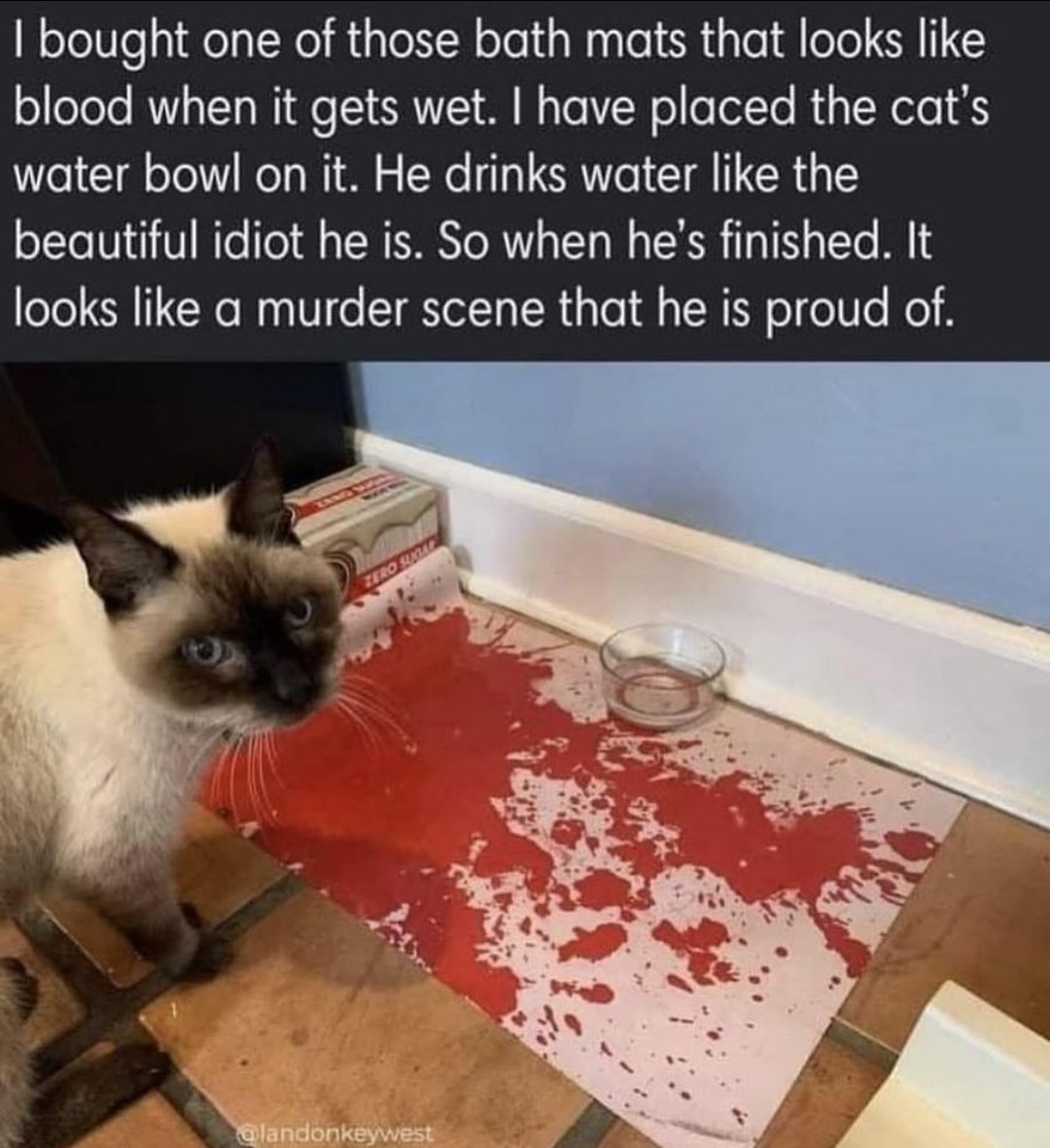 Goblin Moder tweet media