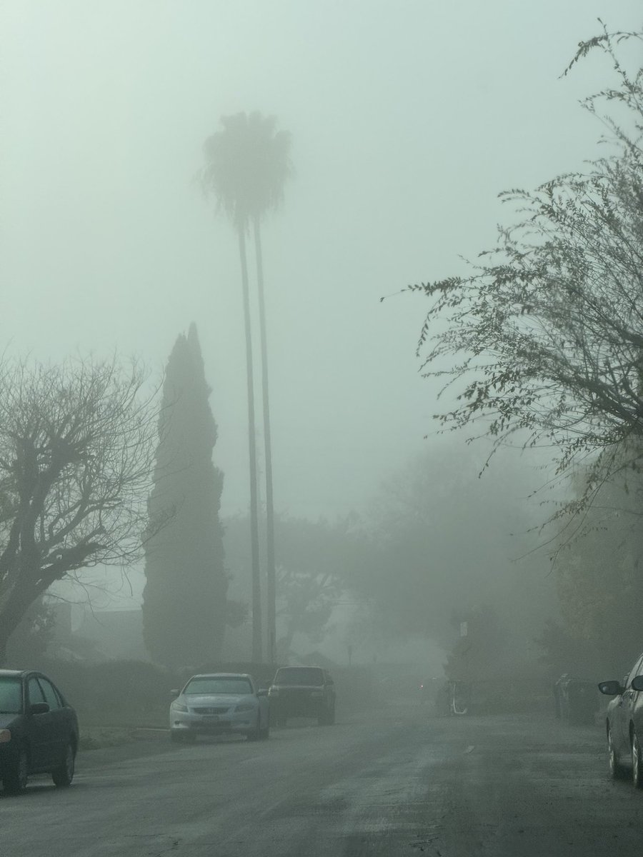 Гуд морнинг в солнечной калифорнии