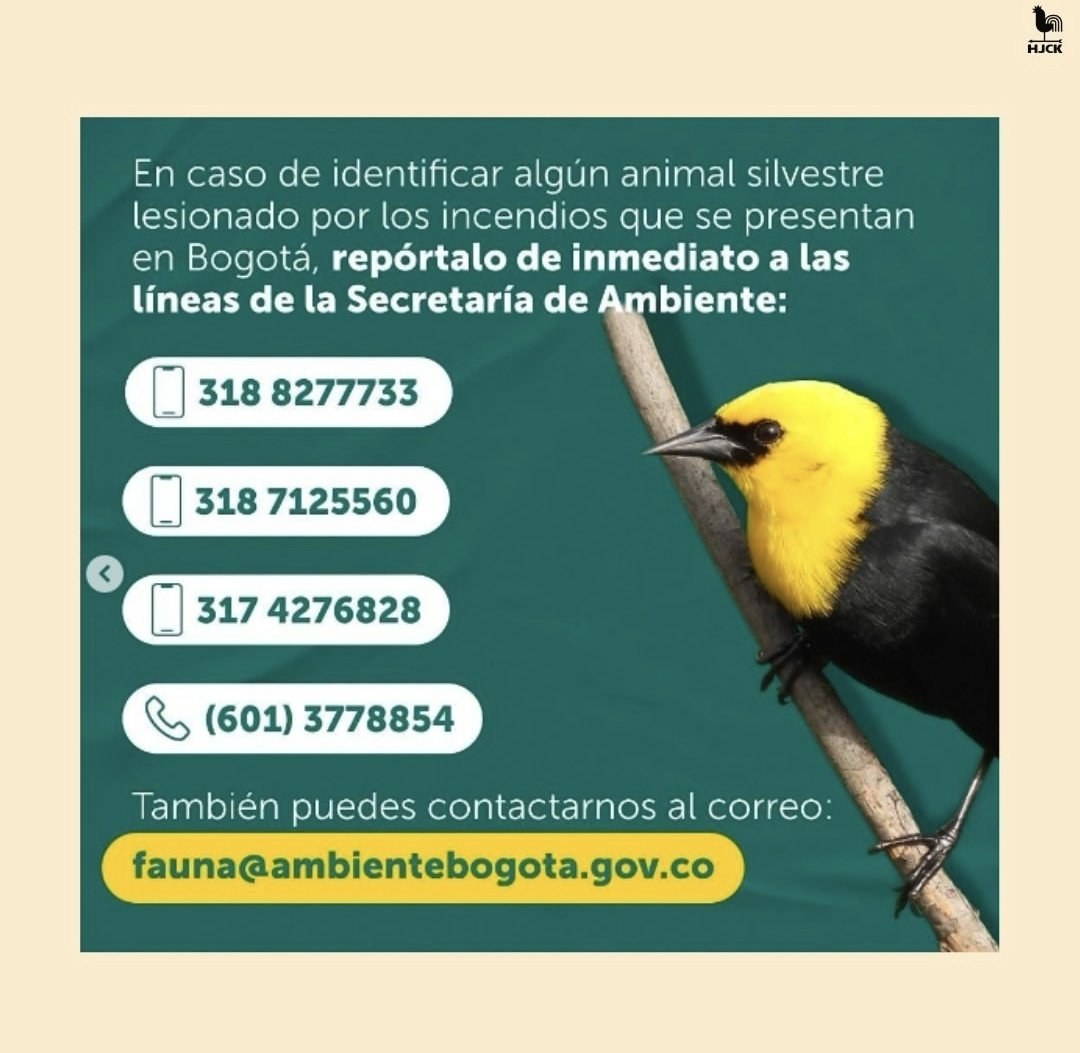 naganicol's tweet photo. Amigos Bogotá: Estas son algunas recomendaciones que comparte @LaHJCK,  para ayudar un poco a los animales que están huyendo del incendio forestal en los cerros orientales. 🌱 https://t.co/f4CMgCUHNr