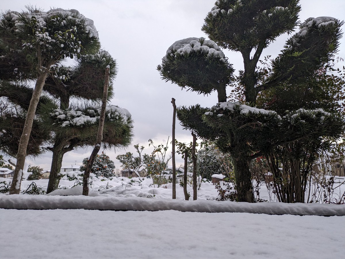 ☃☃☃