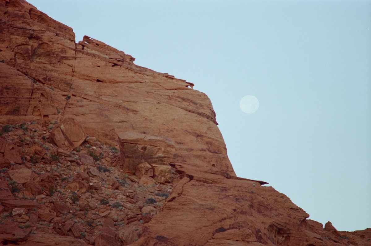 Art_x_Cacti's tweet photo. Posting some "new" photography work from my time camping in The Valley of Fire State Park in Nevada last November. This is all film photography, shot on my Minolta SRT-101 camera using Ektar 100iso film stock.
#nvstateparks #filmphotography #naturephotography #dmvart #dmvartist https://t.co/S28aFcPcqz