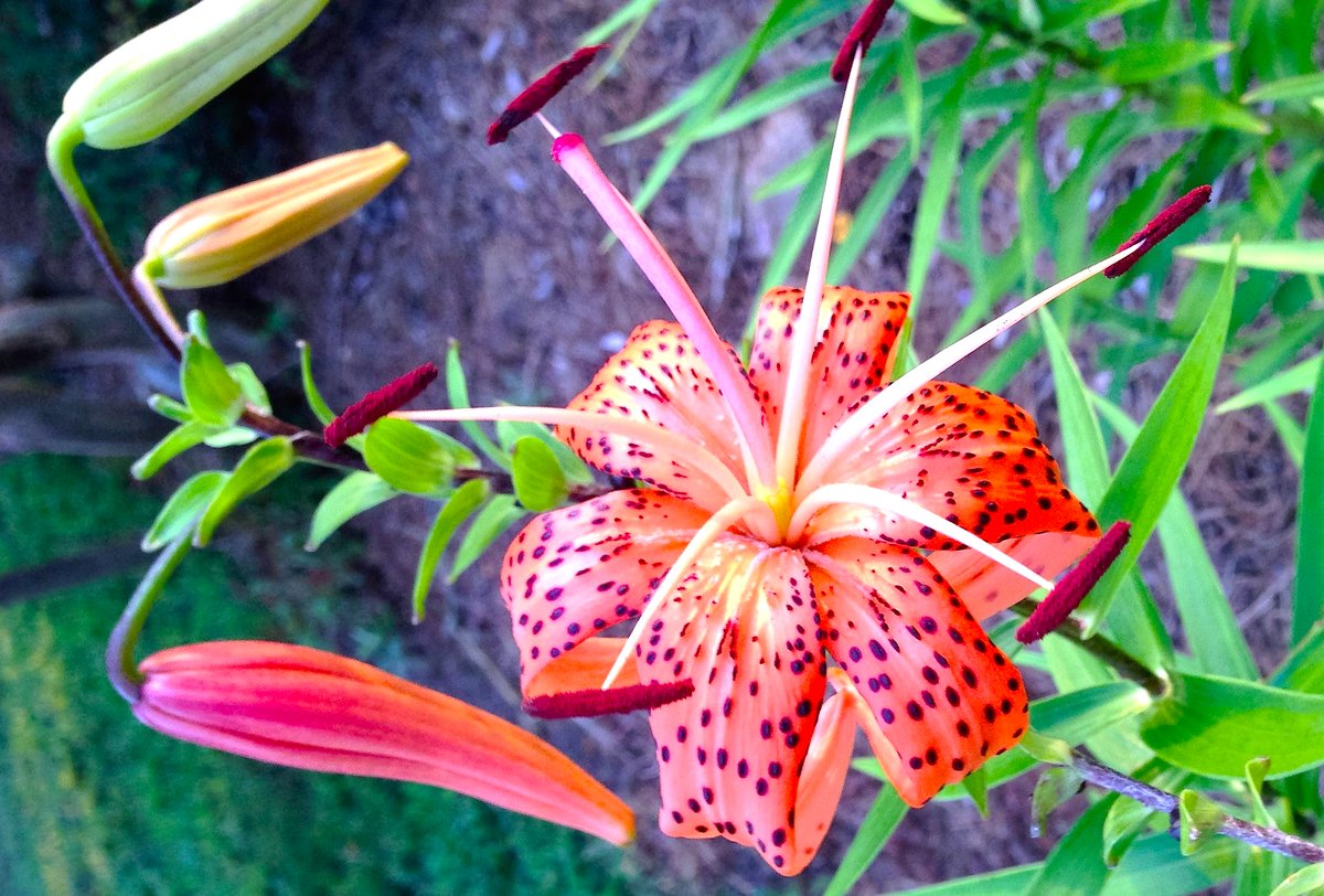 Some people aren't trying to solve the problem.  They just want to win the argument.