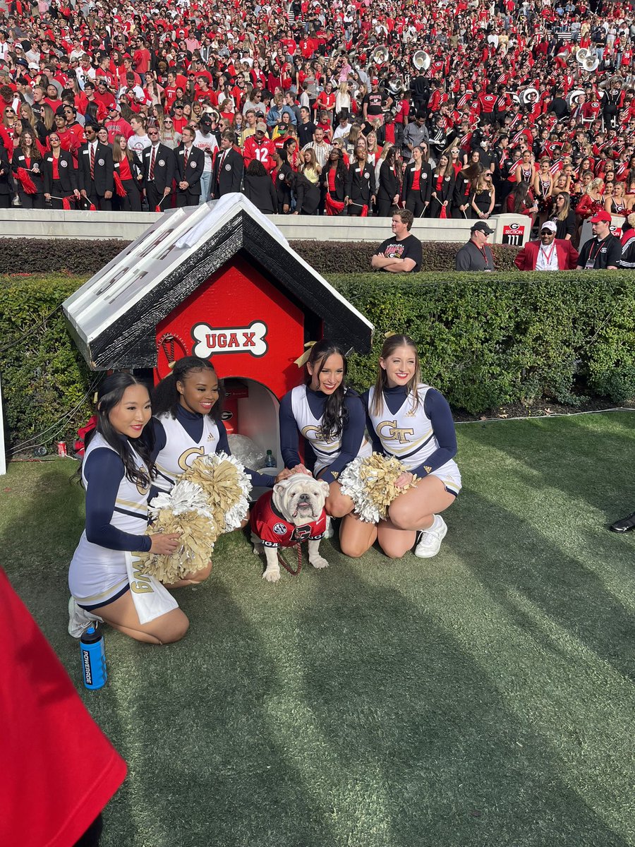 Dylan Webber tweet media