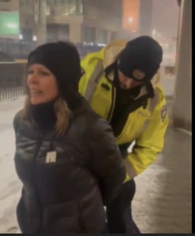 AverageCDNguy's tweet photo. @NatCitizens Time to stop the show trial of Tamara Lich. https://t.co/9ApZlP6BTh