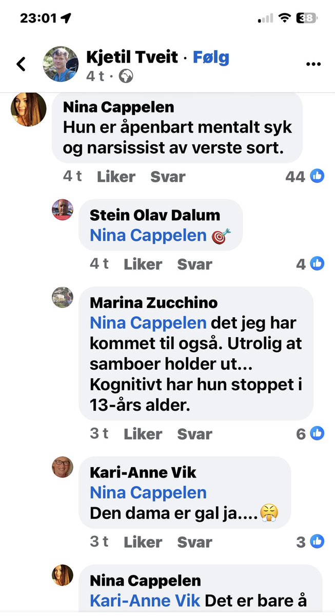 Ting som norske antivaksere sier tweet media