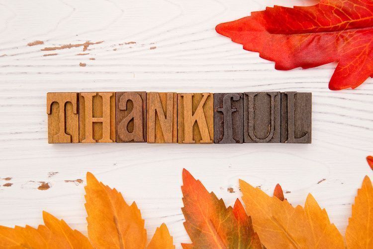 cybervise's tweet photo. Who is website thankful? Anyone who knows their business website is essential to their organization is website thankful. If you are not feeling very thankful for your website right now, how do you get there? Here are some easy steps to turn that around. https://t.co/htYdHDA1Bh https://t.co/PctIMlJrL0