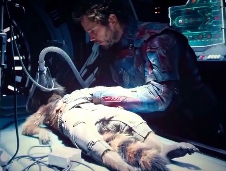 RedditCFB's tweet photo. Guardians of the Galaxy 3 did not receive a nomination for Best Picture. Despite a top 4 box office and solid reviews, the film’s main character gets critically injured in the first act and the Academy didn’t think the film could hold up without its starting raccoon. https://t.co/hnROpH73YQ