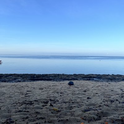 Bline88's tweet photo. #NouvellePhotoDeProfil #Puns #Snorkeling #Toaroto https://t.co/3Ranj3BzNf