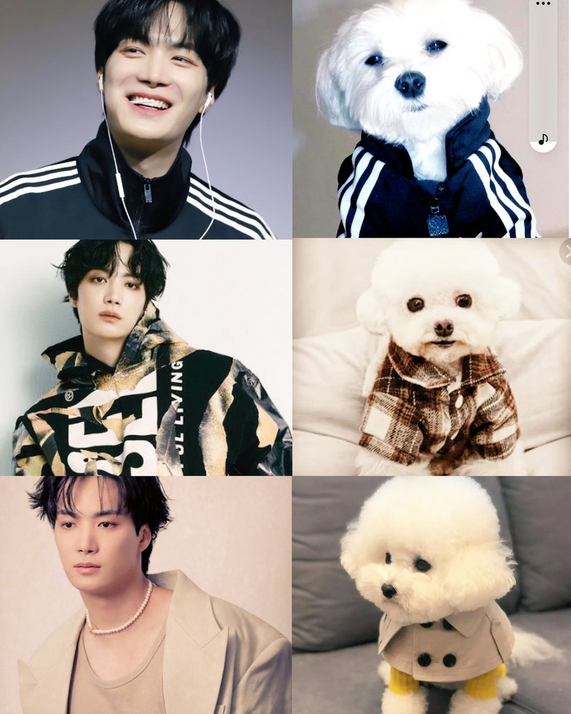 #김종현 #KimJonghyeon 

Jonghyeon                    Jonghyeon 
for everyone 🎆              for me 🐶