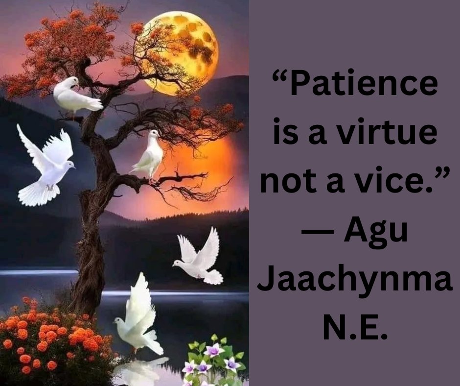 Patience is a virtue..
#glory, #greatness , #higherliving, #improvement, #InspirationalQuotes