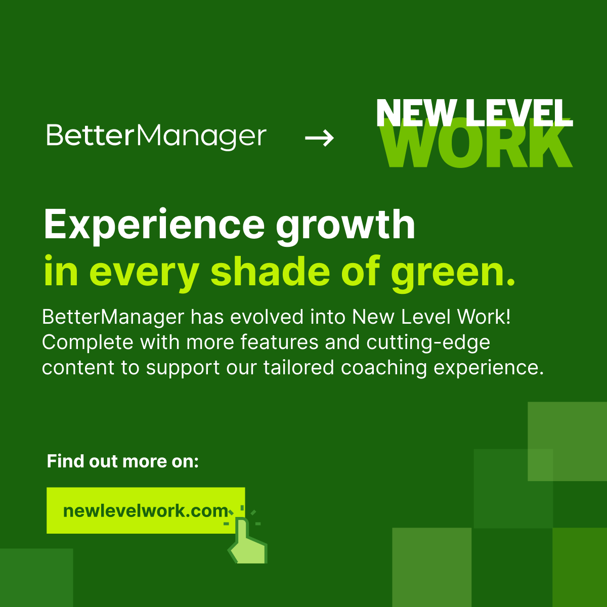 BetterManager has a new brand! We are excited to partner with companies to help them deliver executing coaching, training, and group coaching to their managers and leaders! Please check us out!