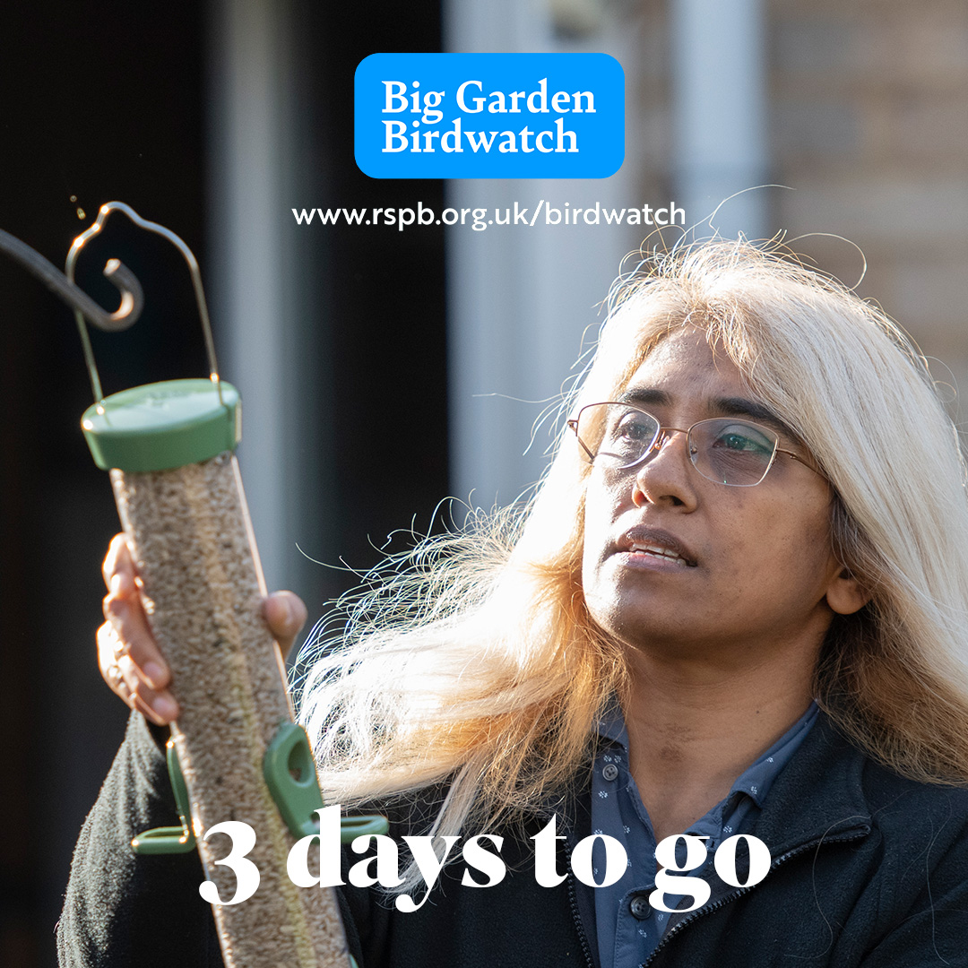 Load up those bird feeders, stock up on the biscuits and secure those binoculars because #BigGardenBirdWatch is nearly here! Join the fun: bit.ly/48gj2IT 🐦