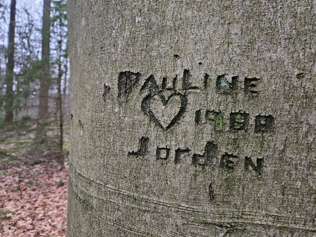 Benno te Linde tweet media