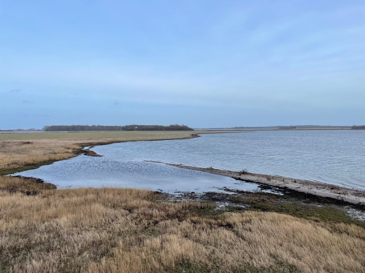 aqua_nbs's tweet photo. Today we hosted @VejleKommune , @COWIdk , and @Realdaniadk for discussions on our interdisciplinary approach to Aquatic NbS. Special thanks to @climateice for sharing insights on @SDUClimate. Wrapped up with a visit to @GyldensteenSDU to witness some solutions in action. https://t.co/vQrzfA0PK0
