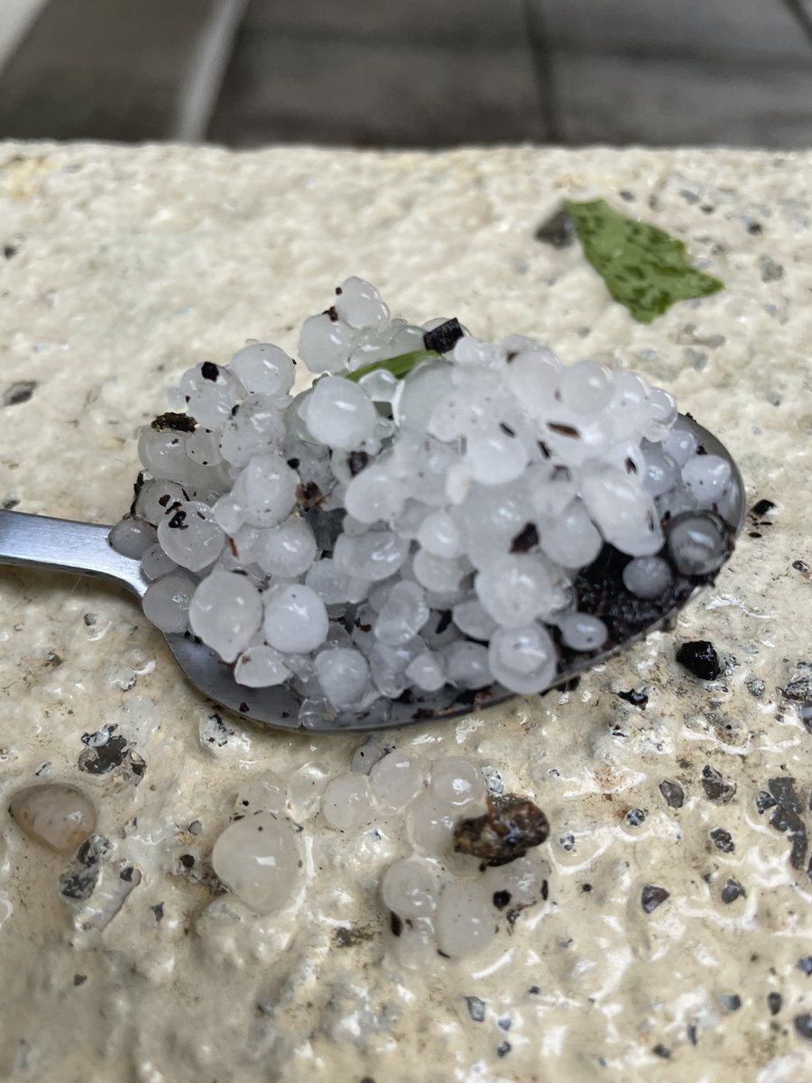 lacopechi's tweet photo. @climahillo Parecen bolitas de silicona https://t.co/ZjtkmQYuBd