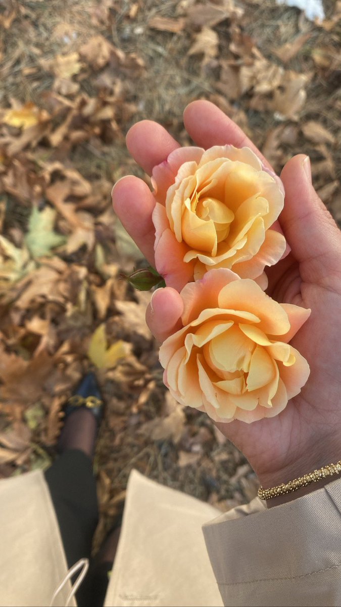 Şah damarının atışı ile rüzgar birleşince  savrulan bir cennet kokusu, 
Sonbaharın günbatımının eşsizliğinde gelen o huzur,
Yaratıcının eşsizliği diyor insan, çokça şükür.