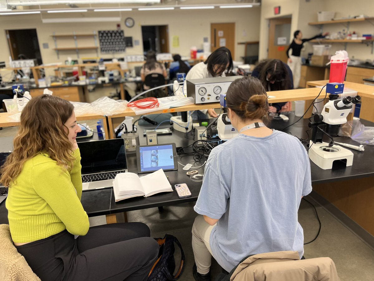 Christina Cota (@christinadcota) on Twitter photo Zebrafish CRISPR <a href="/MBLScience/">Marine Biological Laboratory (MBL)</a> ! #ColbyMBL <a href="/JBMcCarthy1001/">Jenny McCarthy-Taylor, PhD</a> <a href="/Aphanotus/">Dave Angelini</a> Zebrafish CRISPR <a href="/MBLScience/">Marine Biological Laboratory (MBL)</a> ! #ColbyMBL <a href="/JBMcCarthy1001/">Jenny McCarthy-Taylor, PhD</a> <a href="/Aphanotus/">Dave Angelini</a>